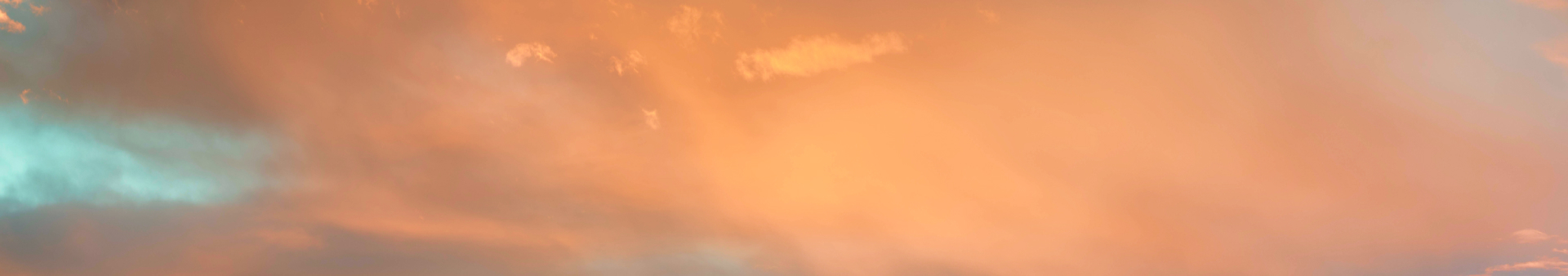 banner-image